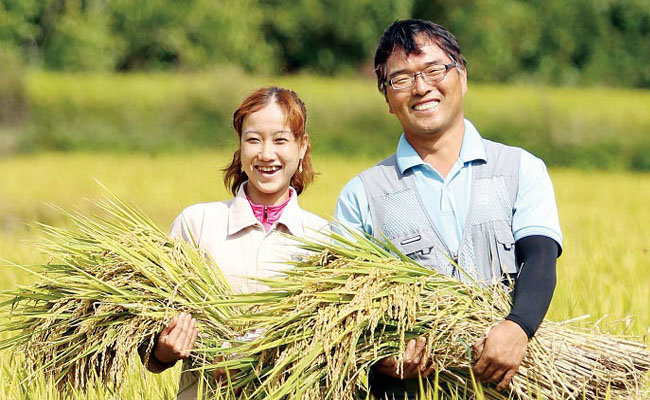 Du học Hàn Quốc tại Nghệ An ngành nông nghiệp – Cơ hội phát triển nền nông nghiệp nước nhà