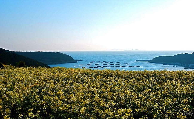 Hút mắt trước những thắng cảnh Hàn Quốc 